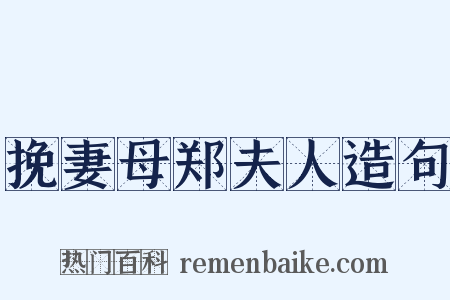 挽妻母郑夫人造句是什么意思的图片